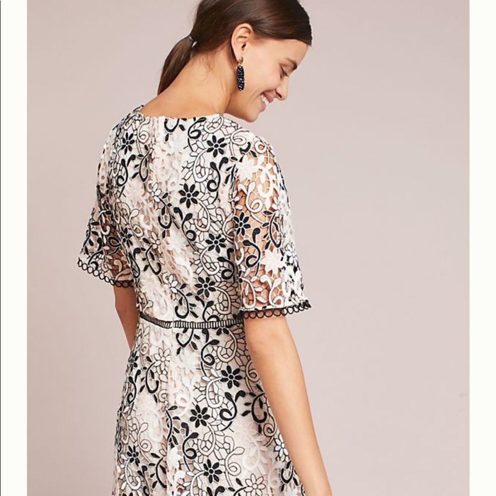 Shoshanna
Blush/Black Lupe Cocktail Dress
